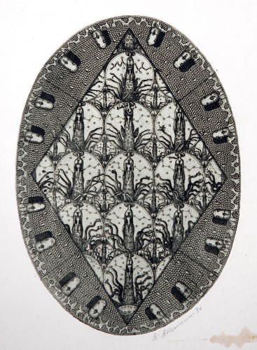 Г-007 Аксинин