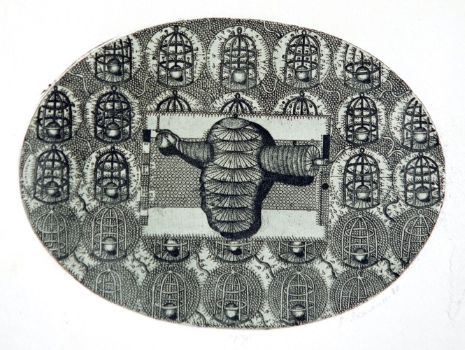 Г-008 Аксинин