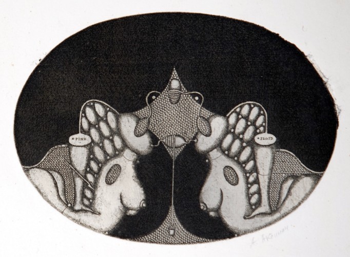 Г-028 Аксинин