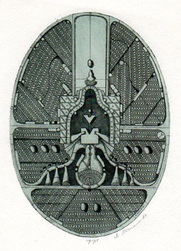 Г-070 Аксинин