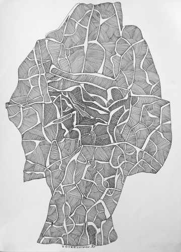 Г-259 Стрельников