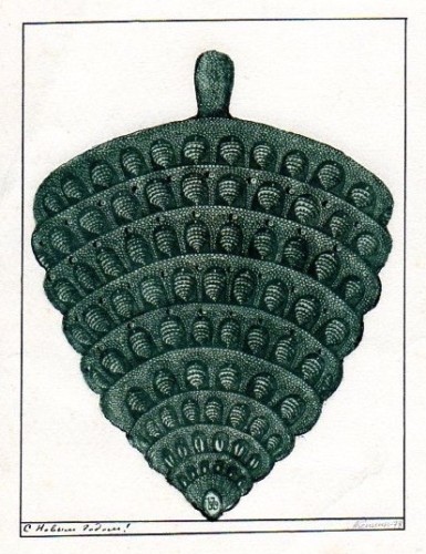 Г-329 Аксинин