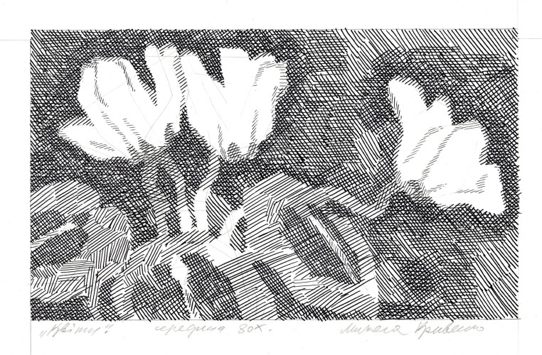 Г-396 Кривенко