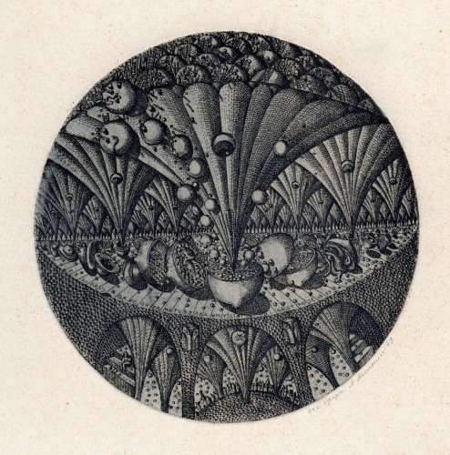 Г-471 Аксинин