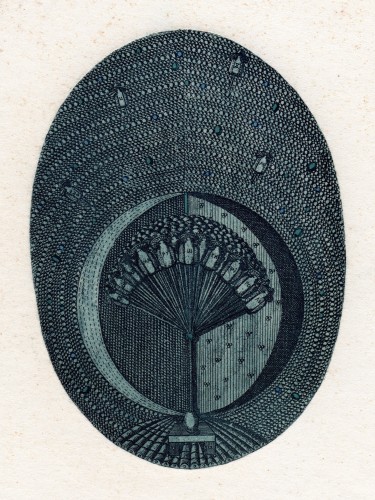 Г-474 Аксинин