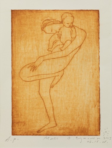 Г-738 Сухолит