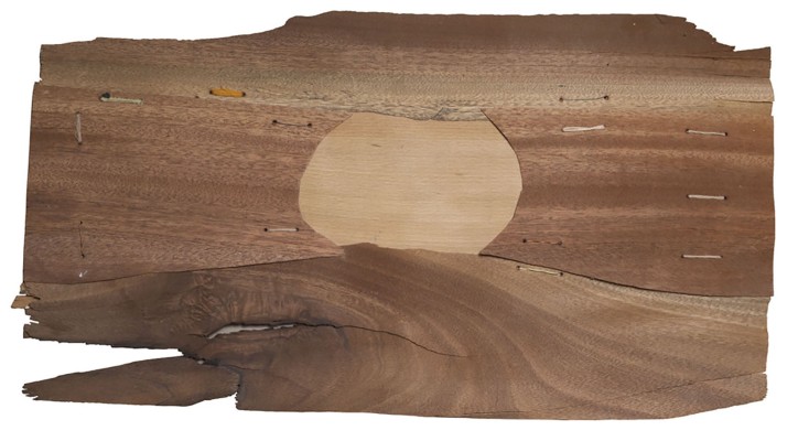 Г-824 Тетянич