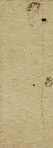 Ж-290 Кривенко