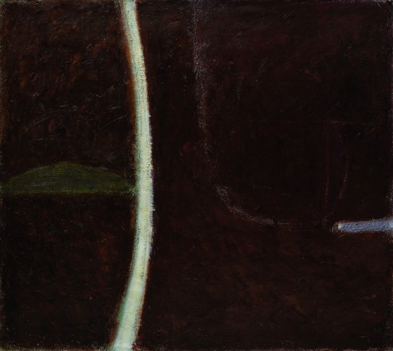 Ж-343 Сильваши