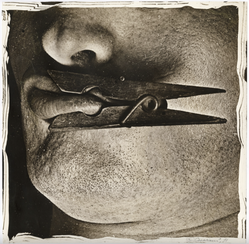 Знімок екрана 2024-04-10 о 13.48.13